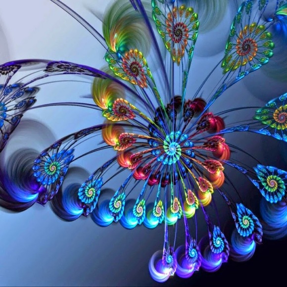 Meet your Posher, Steven - Picture 1 of 1